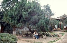 China (199 von 257).jpg